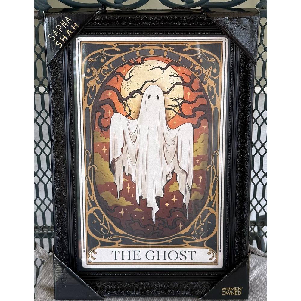 Sapna Shah Halloween Tarot Card The Ghost Framed Wall Hanging Picture 18x12 NWT